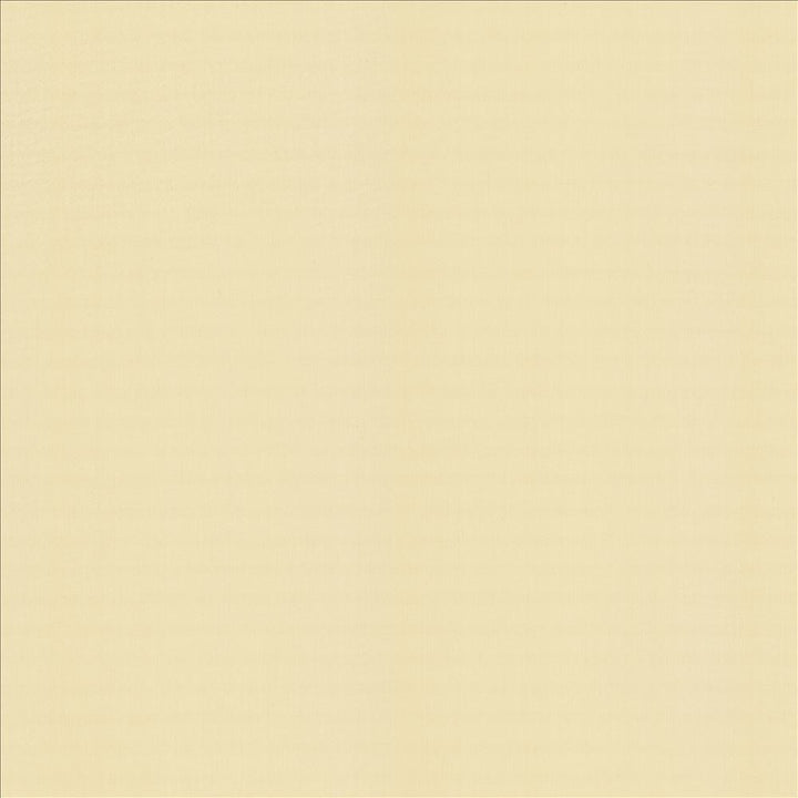 Perception Chamois by Kasmir Designer Fabric 5174 100% Cotton
 INDIA </p><p>Repeat: Horizontal: N/A and Vertical: N/A 54 - Swanky Fabrics -