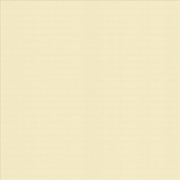 Perception Chamois by Kasmir Designer Fabric 5174 100% Cotton
 INDIA 21,000 Wyzenbeek Double Rubs </p><p>Repeat: Horizontal: N/A and Vertical: N/A 54 - Swanky Fabrics -