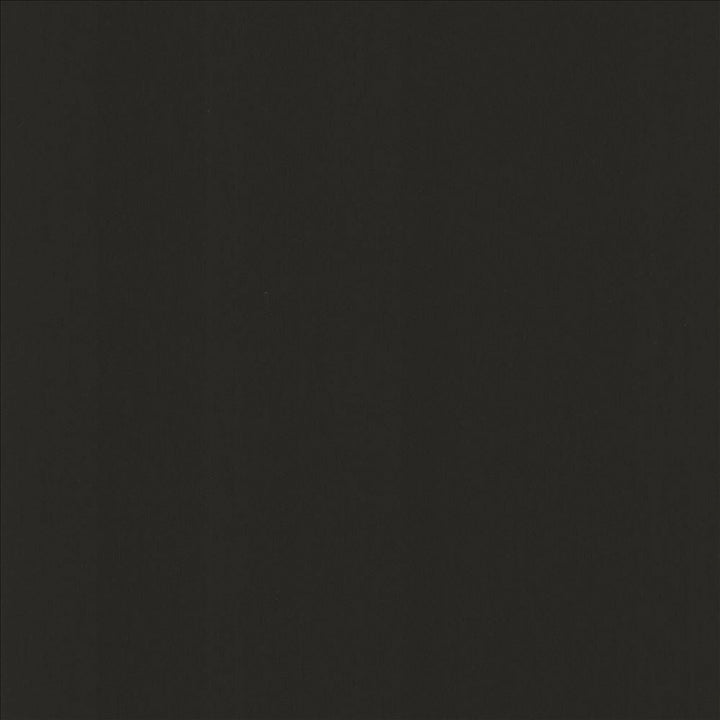 Perception Coal by Kasmir Designer Fabric See sample 100% Cotton
 INDIA 21,000 Wyzenbeek Double Rubs </p><p>Repeat: Horizontal: N/A and Vertical: N/A 54 - Swanky Fabrics -