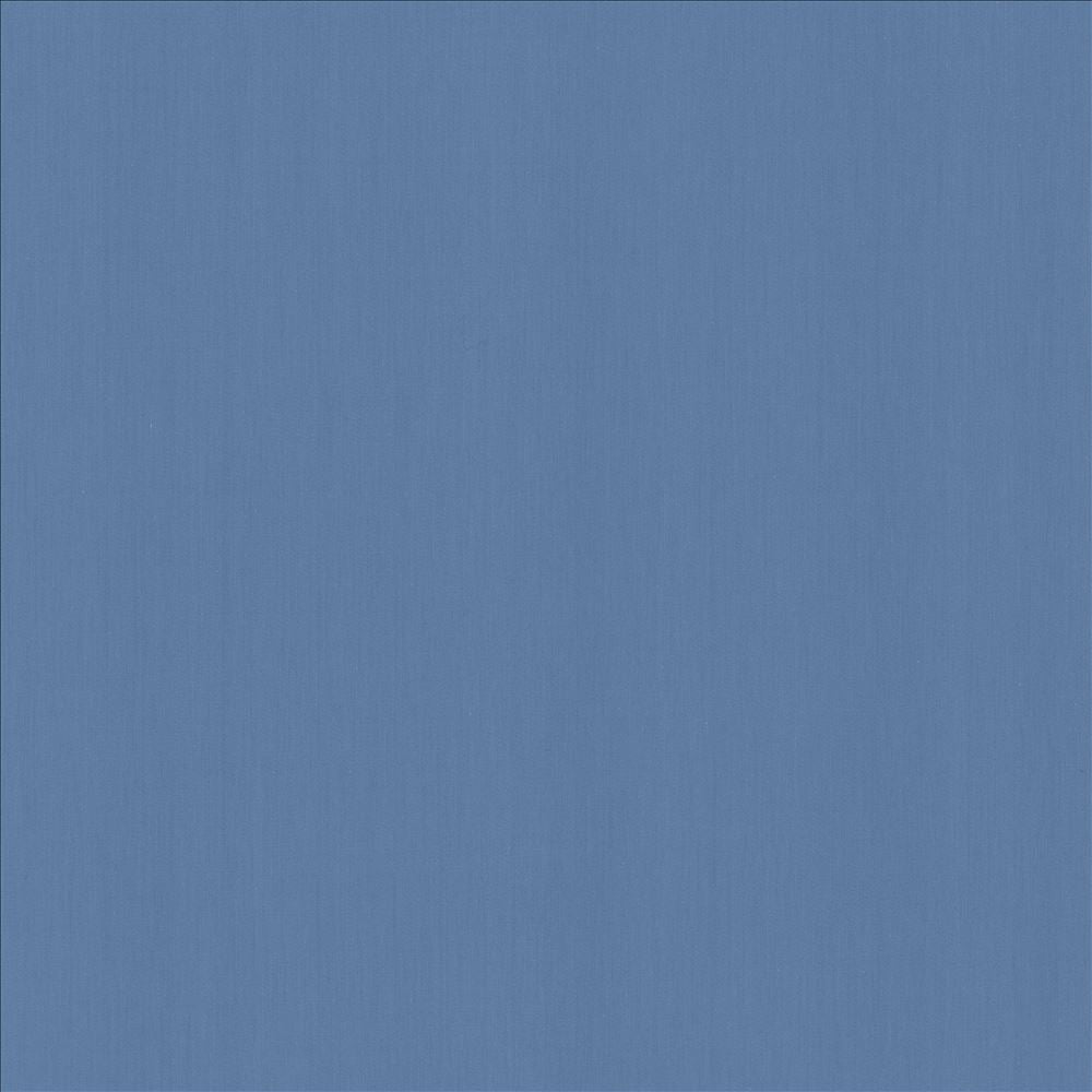 Perception Coastal by Kasmir Designer Fabric 5174 100% Cotton
 INDIA 21,000 Wyzenbeek Double Rubs </p><p>Repeat: Horizontal: N/A and Vertical: N/A 54 - Swanky Fabrics -