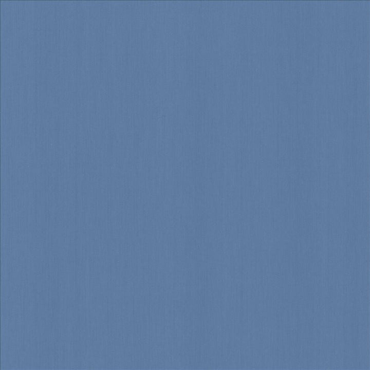 Perception Coastal by Kasmir Designer Fabric 5174 100% Cotton
 INDIA 21,000 Wyzenbeek Double Rubs </p><p>Repeat: Horizontal: N/A and Vertical: N/A 54 - Swanky Fabrics -