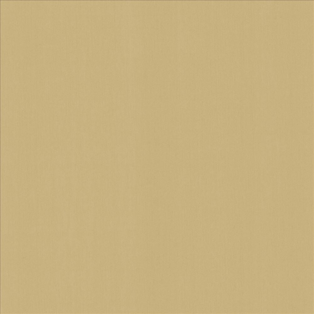Perception Coconut by Kasmir Designer Fabric 5174 100% Cotton
 INDIA 21,000 Wyzenbeek Double Rubs </p><p>Repeat: Horizontal: N/A and Vertical: N/A 54 - Swanky Fabrics -