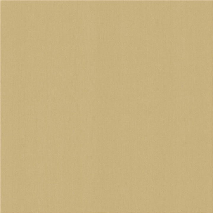 Perception Coconut by Kasmir Designer Fabric 5174 100% Cotton
 INDIA 21,000 Wyzenbeek Double Rubs </p><p>Repeat: Horizontal: N/A and Vertical: N/A 54 - Swanky Fabrics -