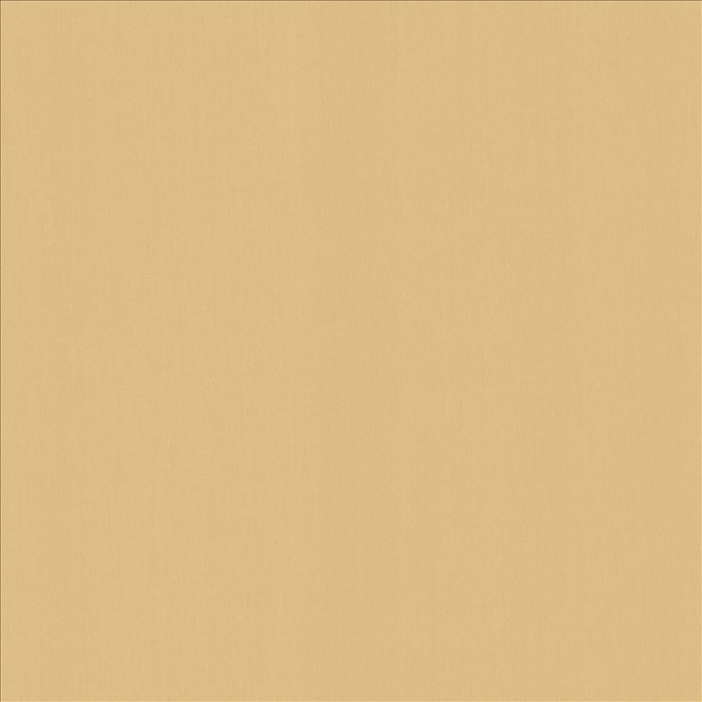 Perception Coconut by Kasmir Designer Fabric 5174 100% Cotton
 INDIA </p><p>Repeat: Horizontal: N/A and Vertical: N/A 54 - Swanky Fabrics -