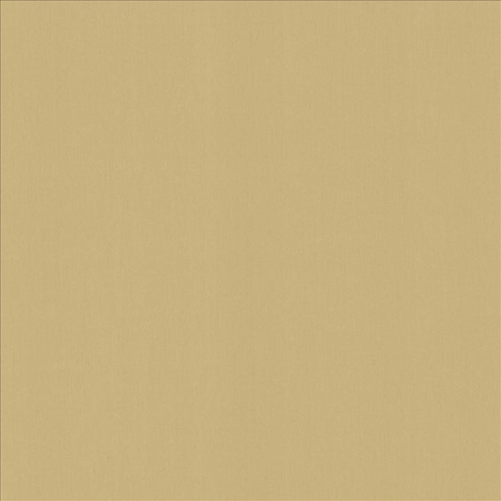 Perception Coconut  by Kasmir Designer Fabric 5174 100% Cotton
 INDIA 21,000 Wyzenbeek Double Rubs Horizontal: N/A and Vertical: N/A 54  - Swanky Fabrics -