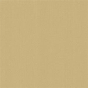 Kasmir Fabric Perception Coconut