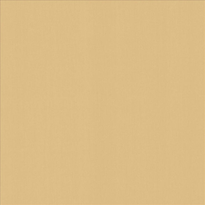 Perception Coconut by Kasmir Designer Fabric 5174 100% Cotton
 INDIA </p><p>Repeat: Horizontal: N/A and Vertical: N/A 54 - Swanky Fabrics -