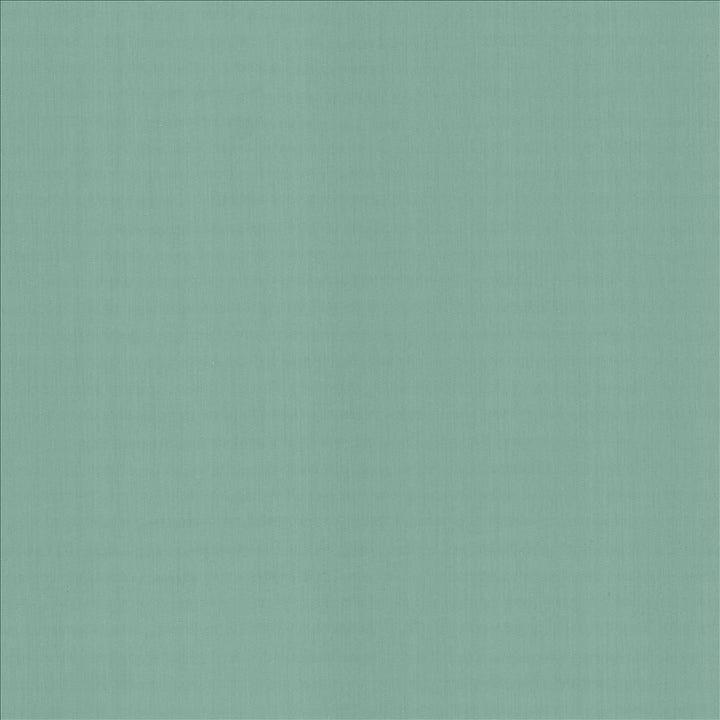 Perception Dew by Kasmir Designer Fabric 5174 100% Cotton
 INDIA 21,000 Wyzenbeek Double Rubs </p><p>Repeat: Horizontal: N/A and Vertical: N/A 54 - Swanky Fabrics -