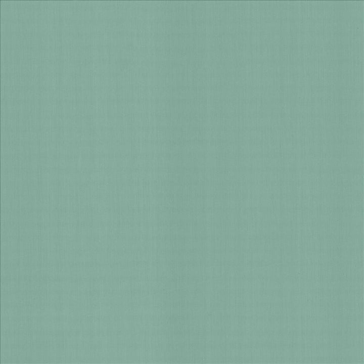 Perception Dew by Kasmir Designer Fabric See sample 100% Cotton
 INDIA 21,000 Wyzenbeek Double Rubs </p><p>Repeat: Horizontal: N/A and Vertical: N/A 54 - Swanky Fabrics -