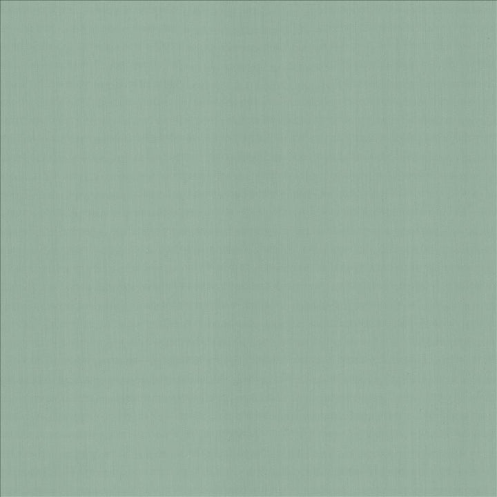 Perception Dew by Kasmir Designer Fabric 5174 100% Cotton
 INDIA </p><p>Repeat: Horizontal: N/A and Vertical: N/A 54 - Swanky Fabrics -
