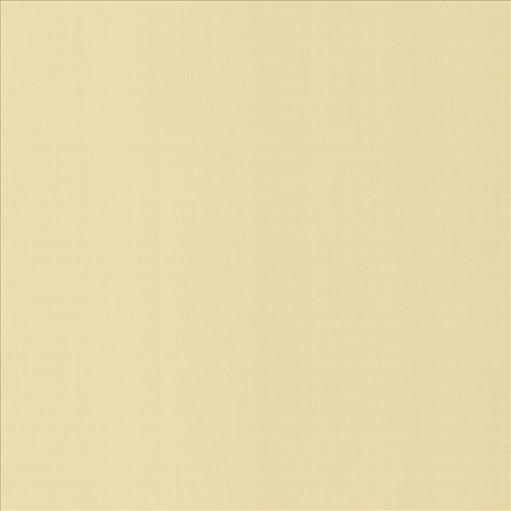 Perception Ecru by Kasmir Designer Fabric 5174 100% Cotton
 INDIA 21,000 Wyzenbeek Double Rubs </p><p>Repeat: Horizontal: N/A and Vertical: N/A 54 - Swanky Fabrics -