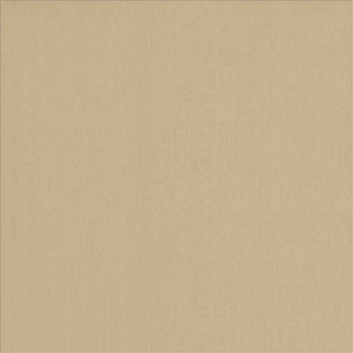 Perception Fog by Kasmir Designer Fabric 5174 100% Cotton
 INDIA </p><p>Repeat: Horizontal: N/A and Vertical: N/A 54 - Swanky Fabrics -