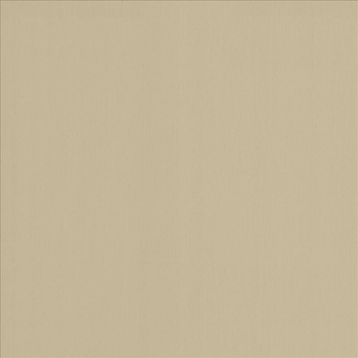 Perception Fog by Kasmir Designer Fabric 5174 100% Cotton
 INDIA 21,000 Wyzenbeek Double Rubs </p><p>Repeat: Horizontal: N/A and Vertical: N/A 54 - Swanky Fabrics -