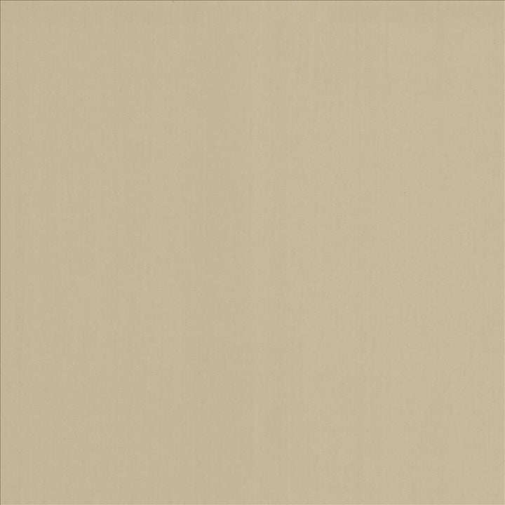 Perception Fog by Kasmir Designer Fabric See sample 100% Cotton
 INDIA 21,000 Wyzenbeek Double Rubs </p><p>Repeat: Horizontal: N/A and Vertical: N/A 54 - Swanky Fabrics -