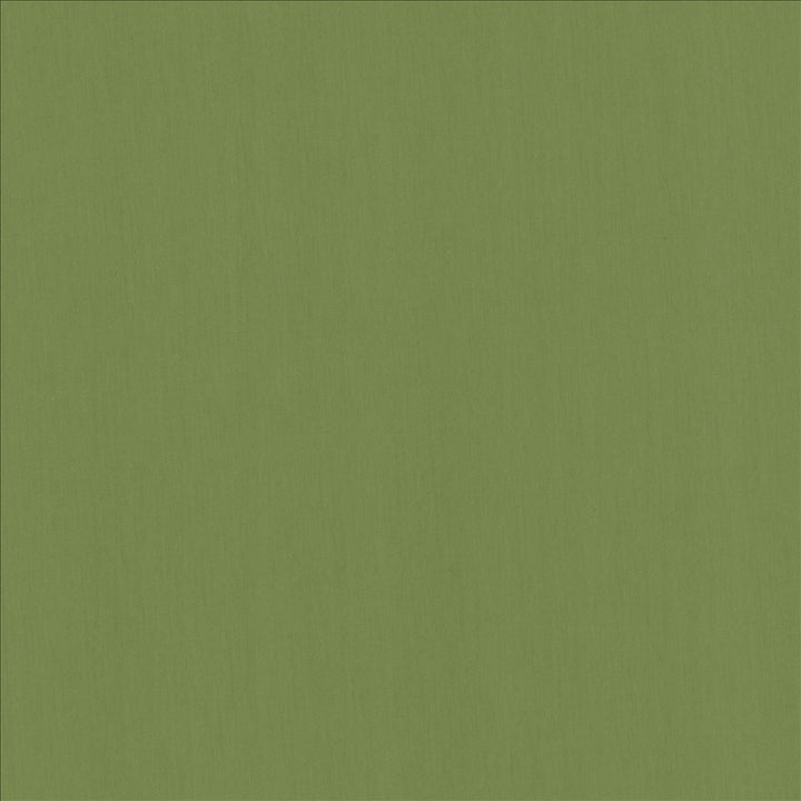 Perception Grass by Kasmir Designer Fabric 5174 100% Cotton
 INDIA 21,000 Wyzenbeek Double Rubs </p><p>Repeat: Horizontal: N/A and Vertical: N/A 54 - Swanky Fabrics -