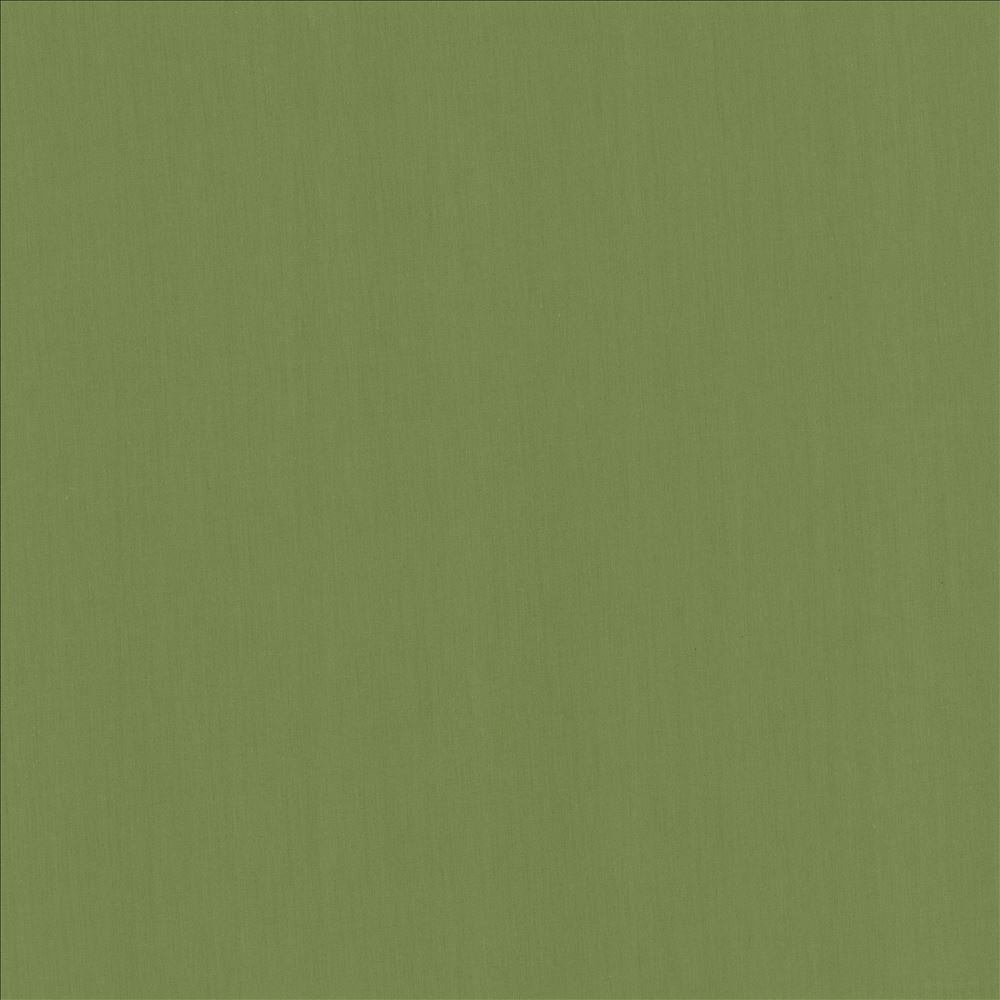 Perception Grass  by Kasmir Designer Fabric 5174 100% Cotton
 INDIA 21,000 Wyzenbeek Double Rubs Horizontal: N/A and Vertical: N/A 54  - Swanky Fabrics -