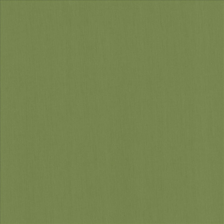Perception Grass  by Kasmir Designer Fabric 5174 100% Cotton
 INDIA 21,000 Wyzenbeek Double Rubs Horizontal: N/A and Vertical: N/A 54  - Swanky Fabrics -