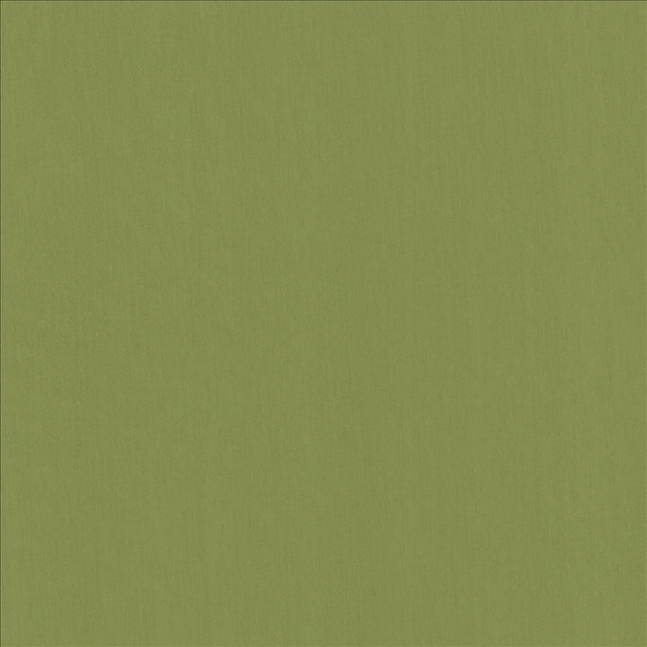Perception Grass by Kasmir Designer Fabric 5174 100% Cotton
 INDIA </p><p>Repeat: Horizontal: N/A and Vertical: N/A 54 - Swanky Fabrics -