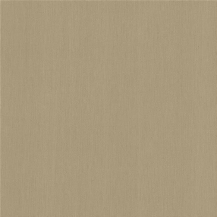 Perception Gray by Kasmir Designer Fabric 5174 100% Cotton
 INDIA 21,000 Wyzenbeek Double Rubs </p><p>Repeat: Horizontal: N/A and Vertical: N/A 54 - Swanky Fabrics -