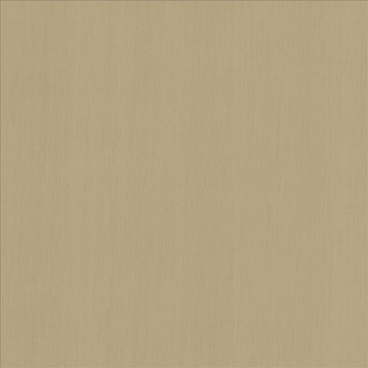Perception Gray by Kasmir Designer Fabric 5174 100% Cotton
 INDIA </p><p>Repeat: Horizontal: N/A and Vertical: N/A 54 - Swanky Fabrics -