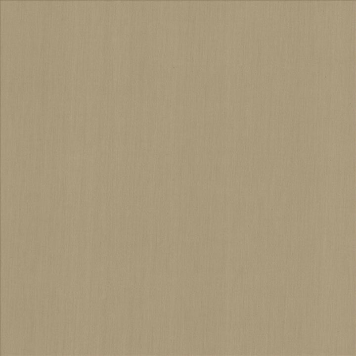 Perception Gray  by Kasmir Designer Fabric 5174 100% Cotton
 INDIA 21,000 Wyzenbeek Double Rubs Horizontal: N/A and Vertical: N/A 54  - Swanky Fabrics -