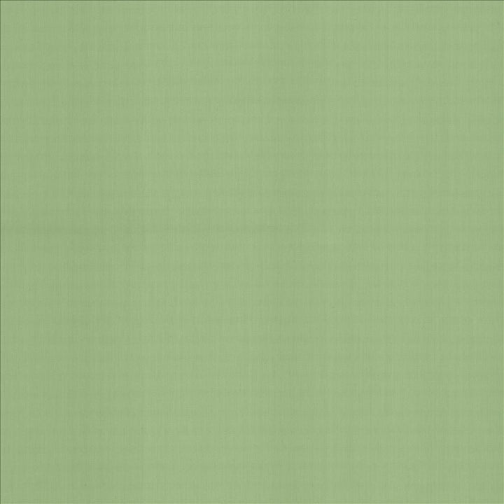 Perception Lagoon  by Kasmir Designer Fabric 5174 100% Cotton
 INDIA 21,000 Wyzenbeek Double Rubs Horizontal: N/A and Vertical: N/A 54  - Swanky Fabrics -
