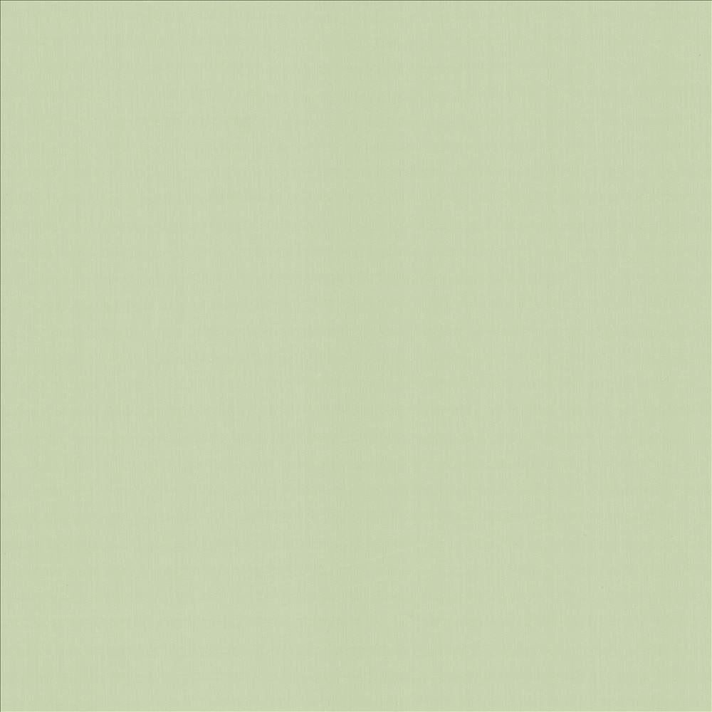 Perception Mint by Kasmir Designer Fabric 5174 100% Cotton
 INDIA </p><p>Repeat: Horizontal: N/A and Vertical: N/A 54 - Swanky Fabrics -