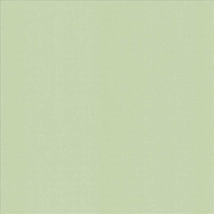 Perception Mint by Kasmir Designer Fabric 5174 100% Cotton
 INDIA </p><p>Repeat: Horizontal: N/A and Vertical: N/A 54 - Swanky Fabrics -