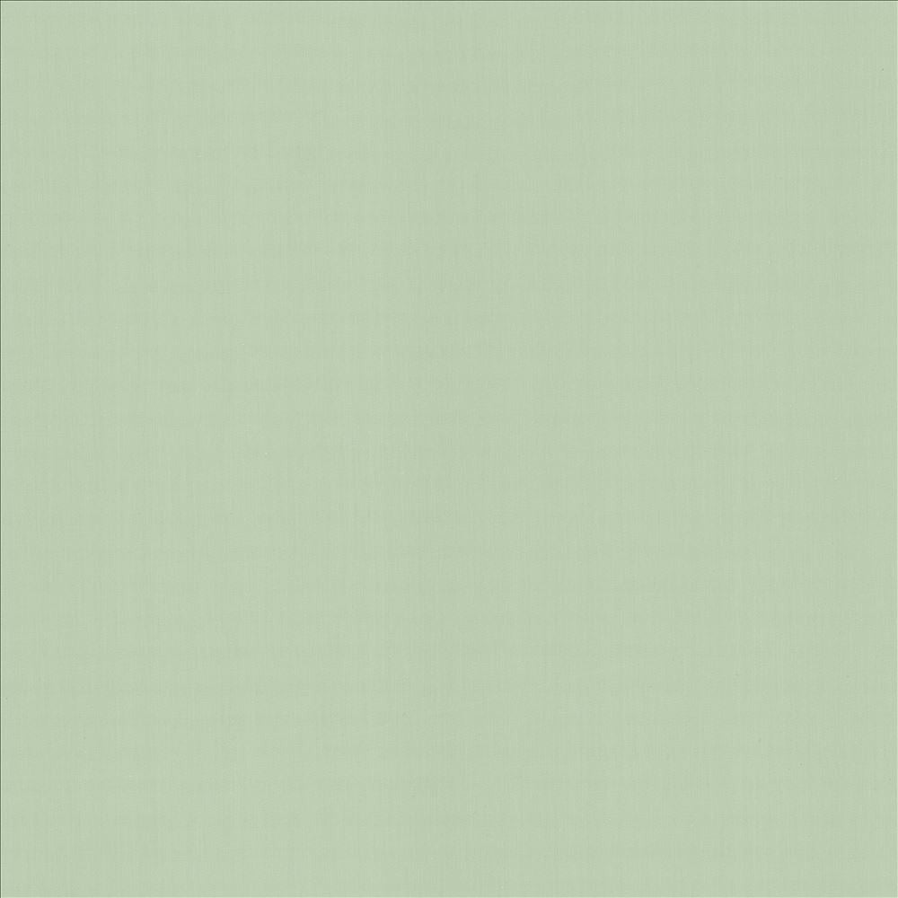 Perception Mint  by Kasmir Designer Fabric 5174 100% Cotton
 INDIA 21,000 Wyzenbeek Double Rubs Horizontal: N/A and Vertical: N/A 54  - Swanky Fabrics -