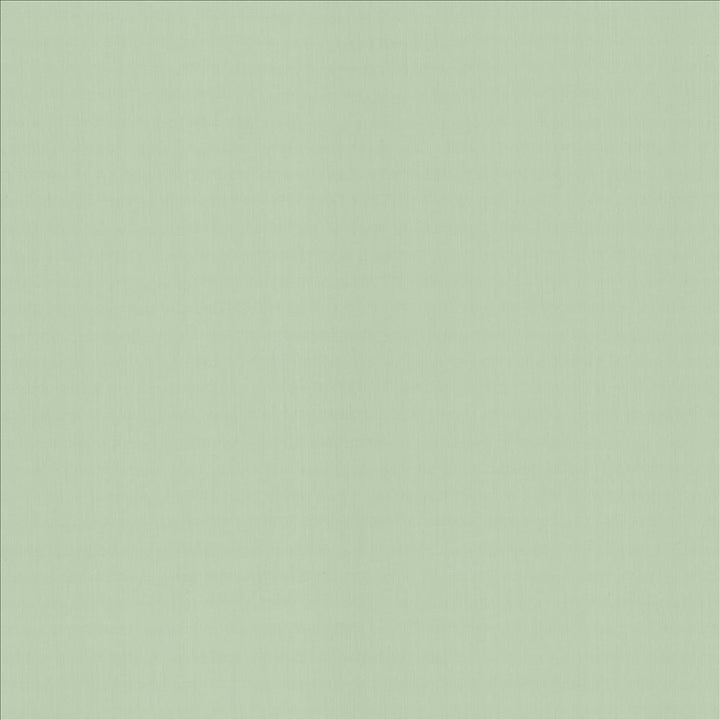 Perception Mint  by Kasmir Designer Fabric 5174 100% Cotton
 INDIA 21,000 Wyzenbeek Double Rubs Horizontal: N/A and Vertical: N/A 54  - Swanky Fabrics -