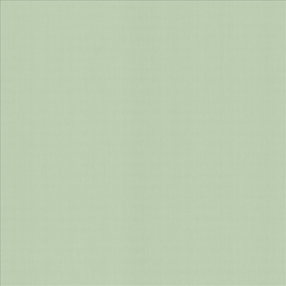 Perception Mint by Kasmir Designer Fabric 5174 100% Cotton
 INDIA 21,000 Wyzenbeek Double Rubs </p><p>Repeat: Horizontal: N/A and Vertical: N/A 54 - Swanky Fabrics -