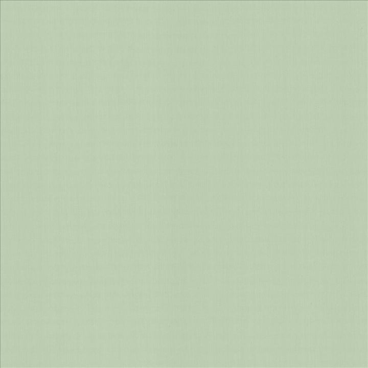 Perception Mint by Kasmir Designer Fabric 5174 100% Cotton
 INDIA 21,000 Wyzenbeek Double Rubs </p><p>Repeat: Horizontal: N/A and Vertical: N/A 54 - Swanky Fabrics -