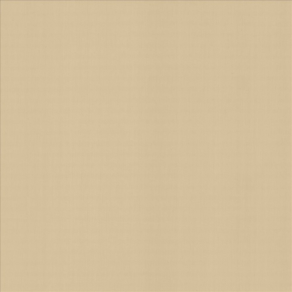 Perception Muslin by Kasmir Designer Fabric See sample 100% Cotton
 INDIA 21,000 Wyzenbeek Double Rubs </p><p>Repeat: Horizontal: N/A and Vertical: N/A 54 - Swanky Fabrics -