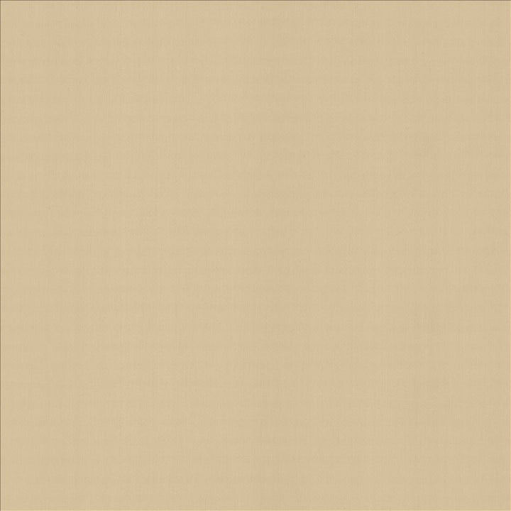 Perception Muslin by Kasmir Designer Fabric See sample 100% Cotton
 INDIA 21,000 Wyzenbeek Double Rubs </p><p>Repeat: Horizontal: N/A and Vertical: N/A 54 - Swanky Fabrics -
