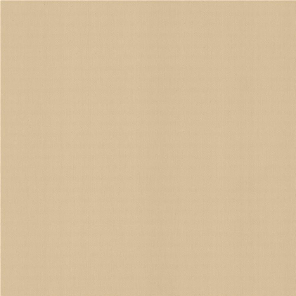 Perception Muslin by Kasmir Designer Fabric 5174 100% Cotton
 INDIA 21,000 Wyzenbeek Double Rubs </p><p>Repeat: Horizontal: N/A and Vertical: N/A 54 - Swanky Fabrics -