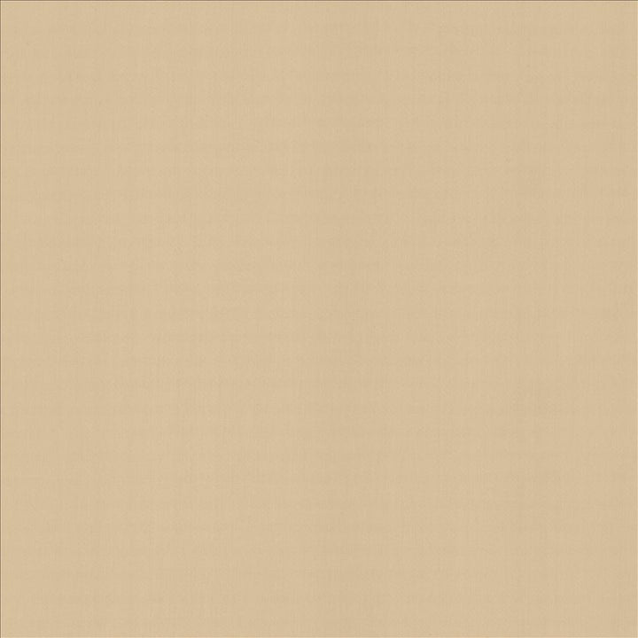 Perception Muslin by Kasmir Designer Fabric 5174 100% Cotton
 INDIA 21,000 Wyzenbeek Double Rubs </p><p>Repeat: Horizontal: N/A and Vertical: N/A 54 - Swanky Fabrics -
