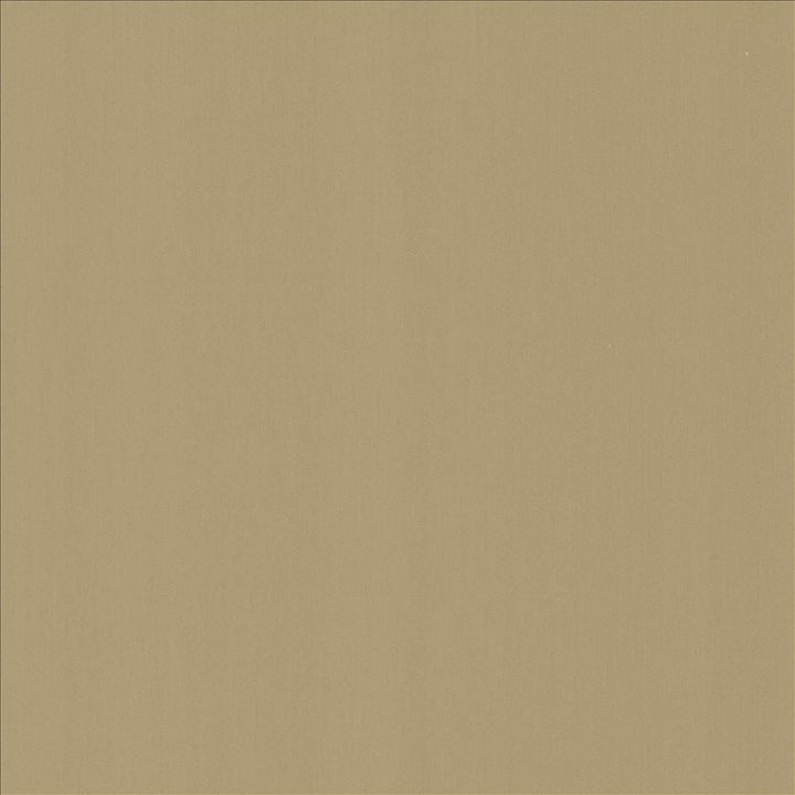 Perception Seal by Kasmir Designer Fabric 5174 100% Cotton
 INDIA </p><p>Repeat: Horizontal: N/A and Vertical: N/A 54 - Swanky Fabrics -