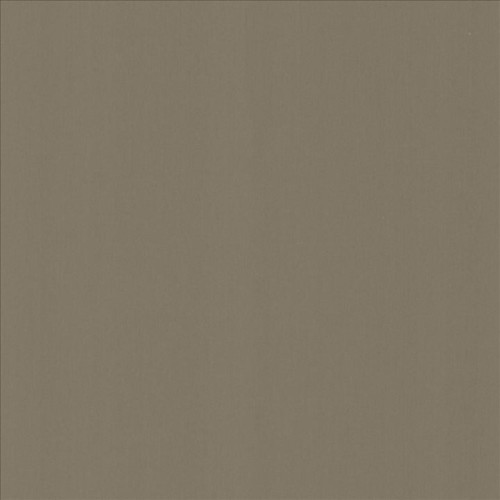 Perception Seal by Kasmir Designer Fabric 5174 100% Cotton
 INDIA 21,000 Wyzenbeek Double Rubs </p><p>Repeat: Horizontal: N/A and Vertical: N/A 54 - Swanky Fabrics -
