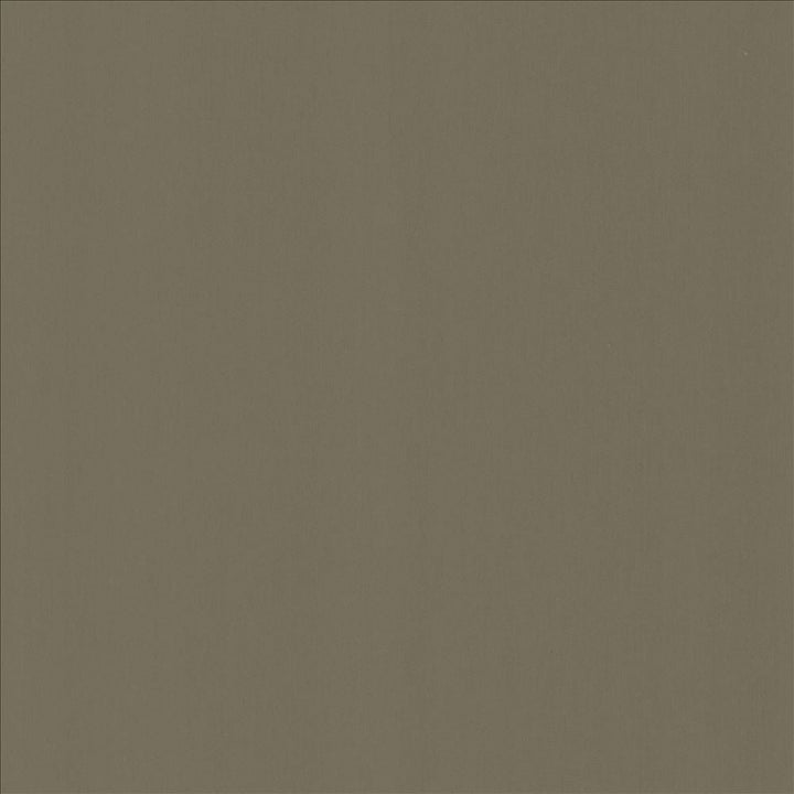 Perception Sterling by Kasmir Designer Fabric 5174 100% Cotton
 INDIA 21,000 Wyzenbeek Double Rubs </p><p>Repeat: Horizontal: N/A and Vertical: N/A 54 - Swanky Fabrics -
