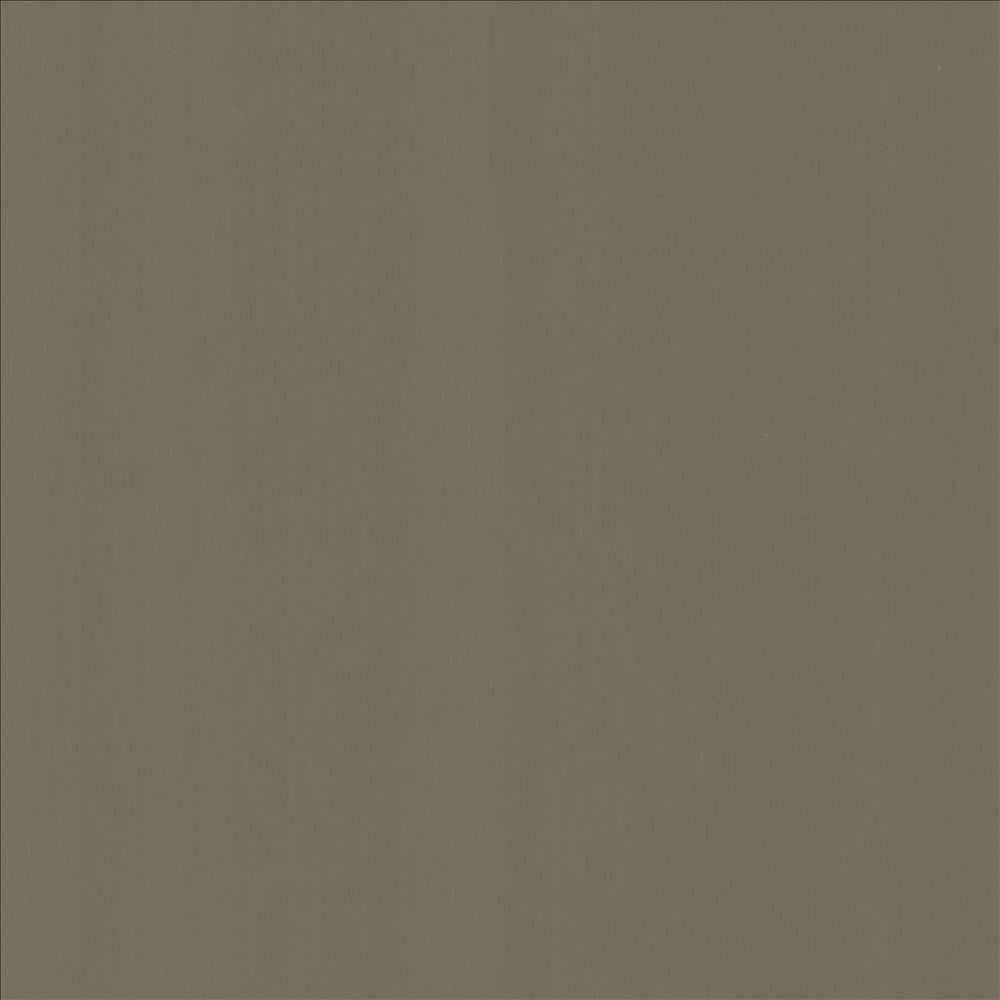 Perception Sterling by Kasmir Designer Fabric See sample 100% Cotton
 INDIA 21,000 Wyzenbeek Double Rubs </p><p>Repeat: Horizontal: N/A and Vertical: N/A 54 - Swanky Fabrics -
