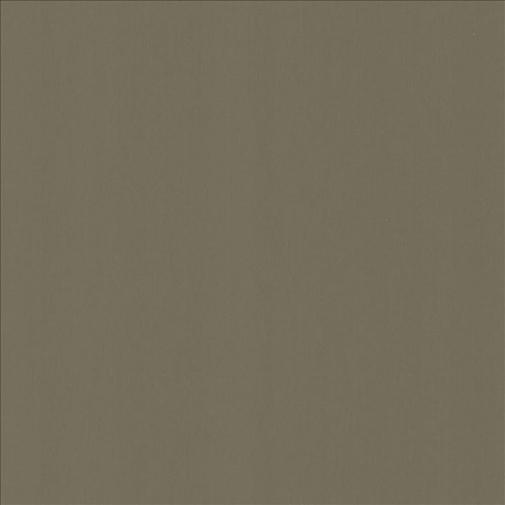 Perception Sterling by Kasmir Designer Fabric See sample 100% Cotton
 INDIA 21,000 Wyzenbeek Double Rubs </p><p>Repeat: Horizontal: N/A and Vertical: N/A 54 - Swanky Fabrics -