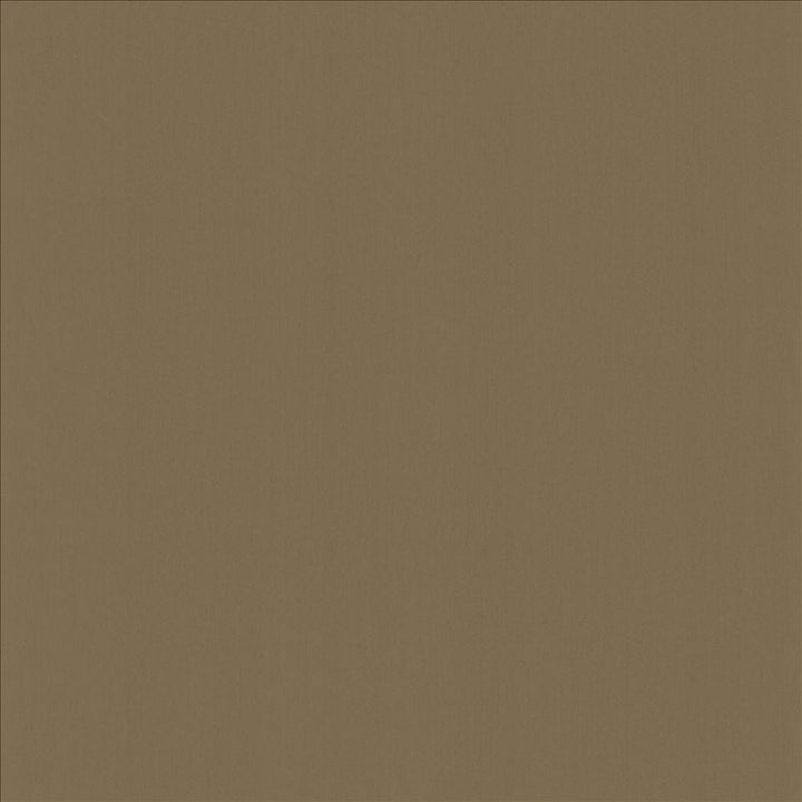 Perception Wood by Kasmir Designer Fabric 5174 100% Cotton
 INDIA 21,000 Wyzenbeek Double Rubs </p><p>Repeat: Horizontal: N/A and Vertical: N/A 54 - Swanky Fabrics -