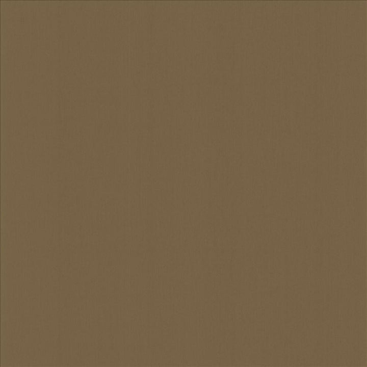 Perception Wood by Kasmir Designer Fabric 5174 100% Cotton
 INDIA </p><p>Repeat: Horizontal: N/A and Vertical: N/A 54 - Swanky Fabrics -