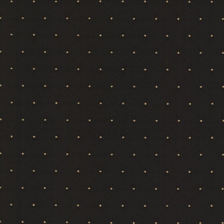 Perdido Onyx  by Kasmir Designer Fabric 1462 100% Polyester
 CHINA 30,000 Wyzenbeek Double Rubs Horizontal: 1 4/8 inches and Vertical: 2 2/8 inches 54  - Swanky Fabrics -