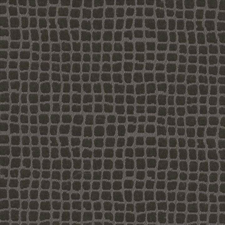 Petite Dundee Grey  by Kasmir Designer Fabric 5101 100% Polyester
 MEXICO Not Tested Horizontal: 4/8 inches and Vertical: 4/8 inches 59  - Swanky Fabrics -