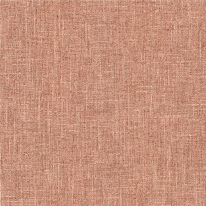 Photo Finish Blush by Kasmir Designer Fabric 5162 100% Polyester
 INDIA 12,000 Wyzenbeek Double Rubs </p><p>Repeat: Horizontal: N/A and Vertical: N/A 54 - Swanky Fabrics -