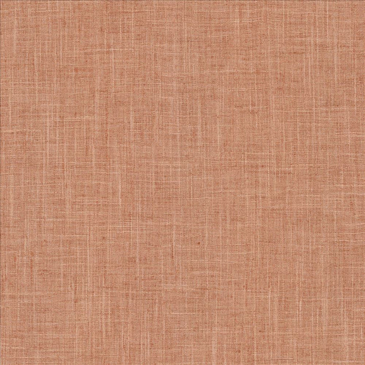 Photo Finish Blush  by Kasmir Designer Fabric 5162 100% Polyester
 INDIA 12,000 Wyzenbeek Double Rubs Horizontal: N/A and Vertical: N/A 54  - Swanky Fabrics -
