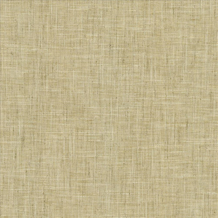 Photo Finish Flannel by Kasmir Designer Fabric 5162 100% Polyester
 INDIA 12,000 Wyzenbeek Double Rubs </p><p>Repeat: Horizontal: N/A and Vertical: N/A 54 - Swanky Fabrics -