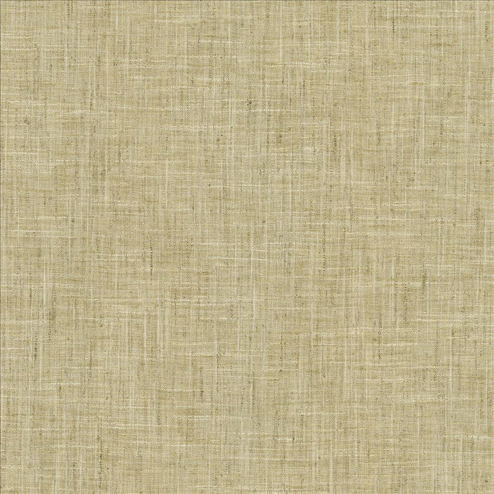 Photo Finish Flannel by Kasmir Designer Fabric 5162 100% Polyester
 INDIA </p><p>Repeat: Horizontal: N/A and Vertical: N/A 54 - Swanky Fabrics -