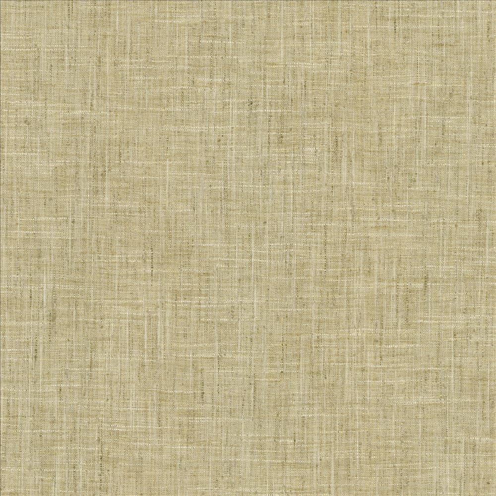 Photo Finish Flannel  by Kasmir Designer Fabric 5162 100% Polyester
 INDIA 12,000 Wyzenbeek Double Rubs Horizontal: N/A and Vertical: N/A 54  - Swanky Fabrics -